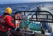 Young recreational fishers rescued after boat engine fails off East Sooke