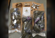 Campbell River RCMP arrest suspects in significant drug trafficking investigation