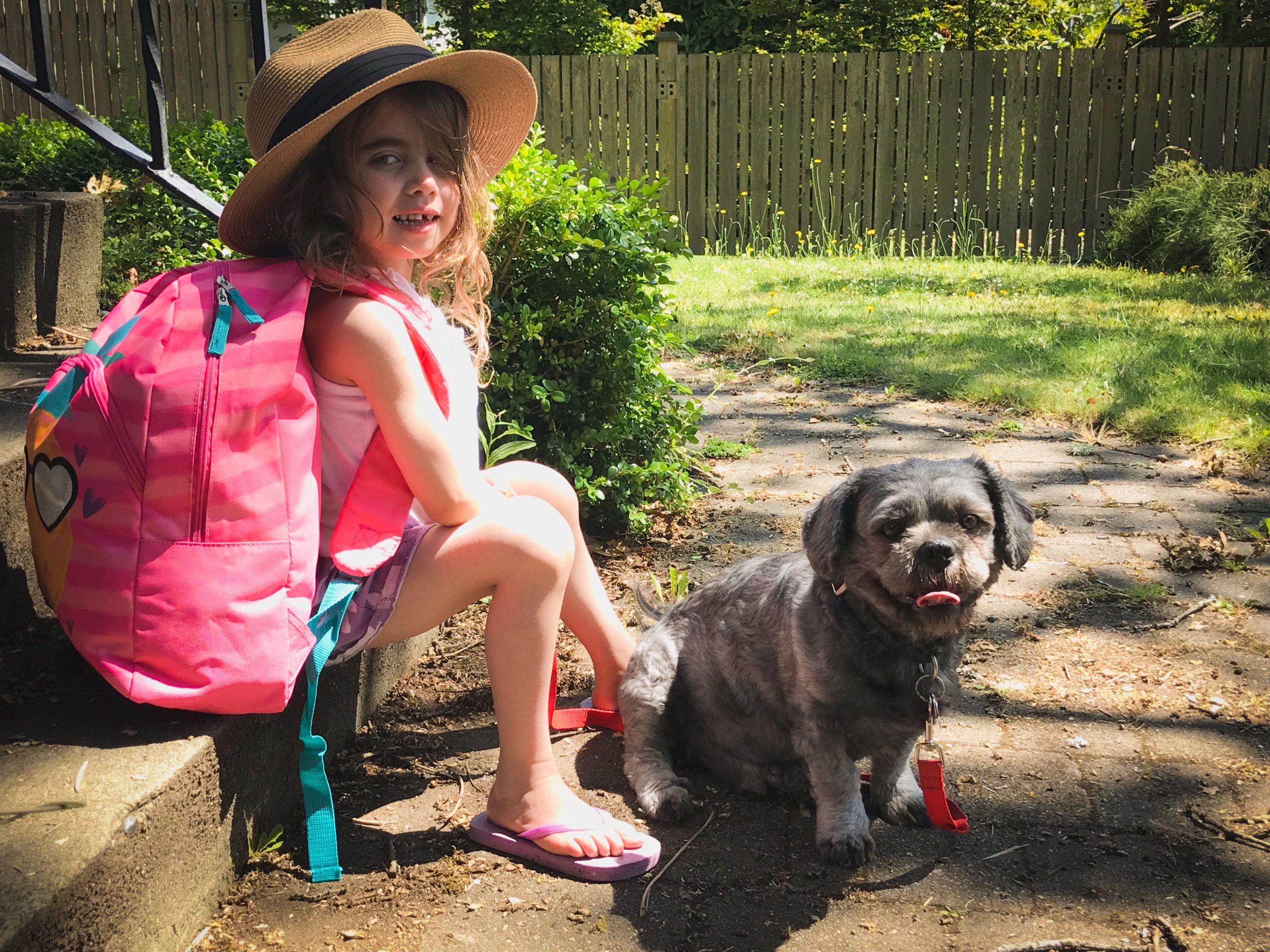 Victoria therapy dog could win BC SPCA's contest to have his face on a beer can