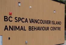 BC SPCA opening Vancouver Island Animal Behaviour Centre in North Cowichan