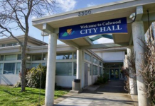 Local election guide: Colwood candidates for mayor and council