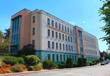 Over 90 Victoria artists face displacement after downtown building approved for hotel